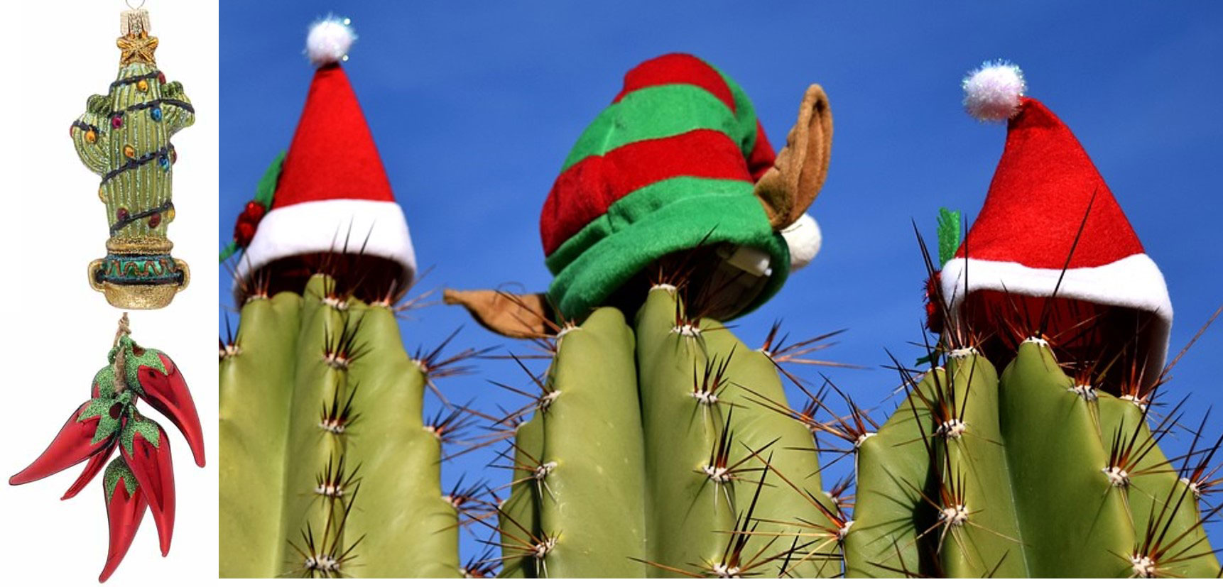 Christmas Around the World - American Southwest - Christmas Cactus