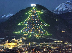 Monte Ingino Christmas Tree | OrnamentShop.com