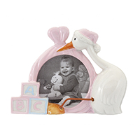 Baby Girl Picture & Stork Ornament