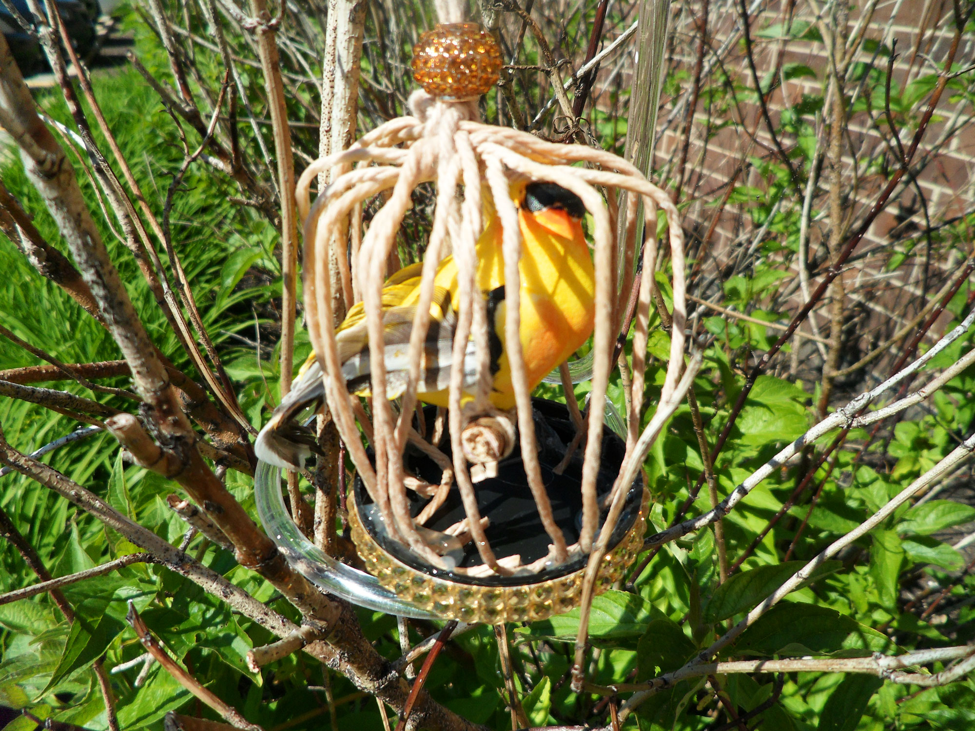 Bird-Cage-Ornament-Outside