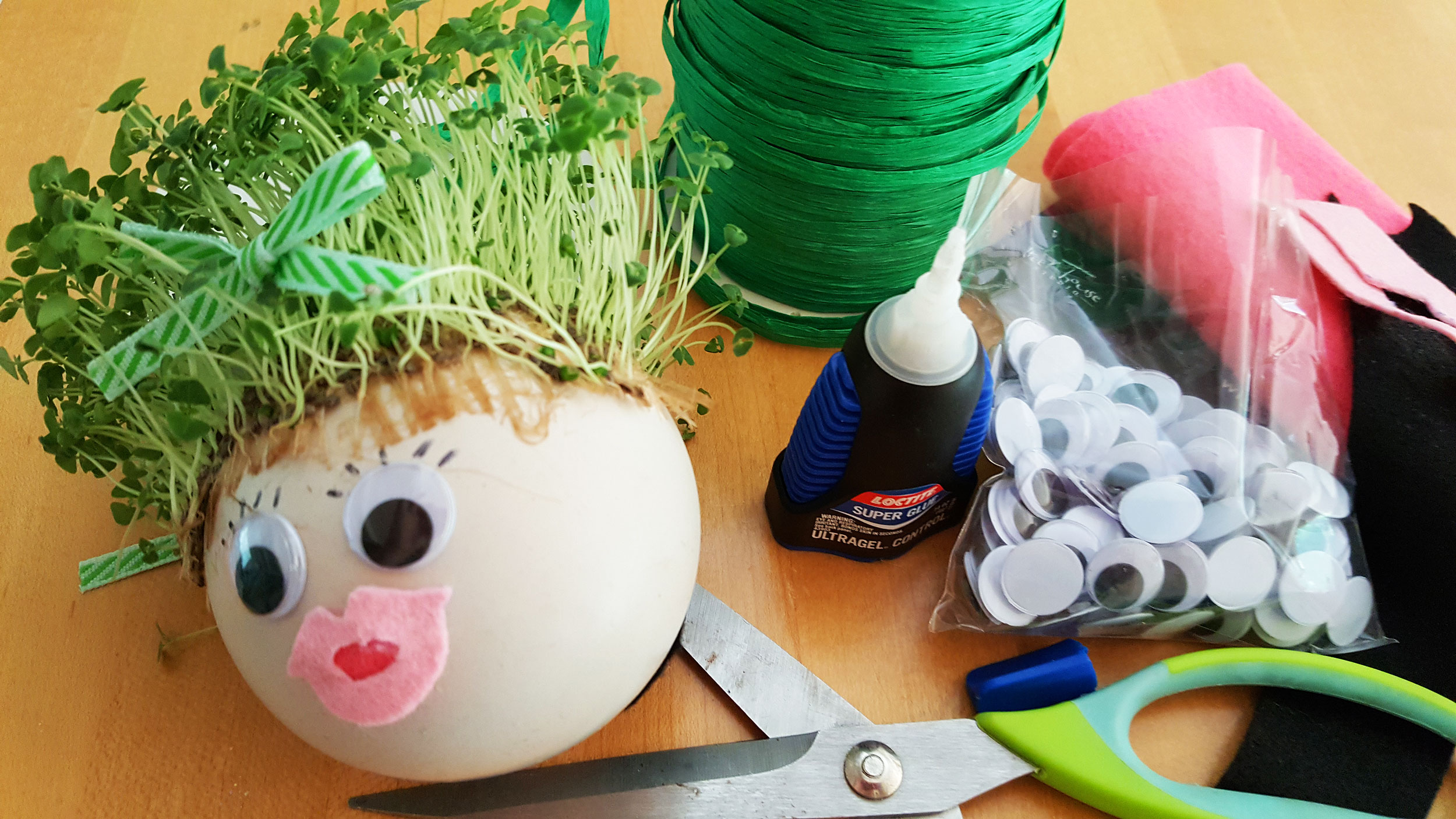 A girl Chia Pet ornament with googly eyes and a pink felt mouth. | OrnametShop.com