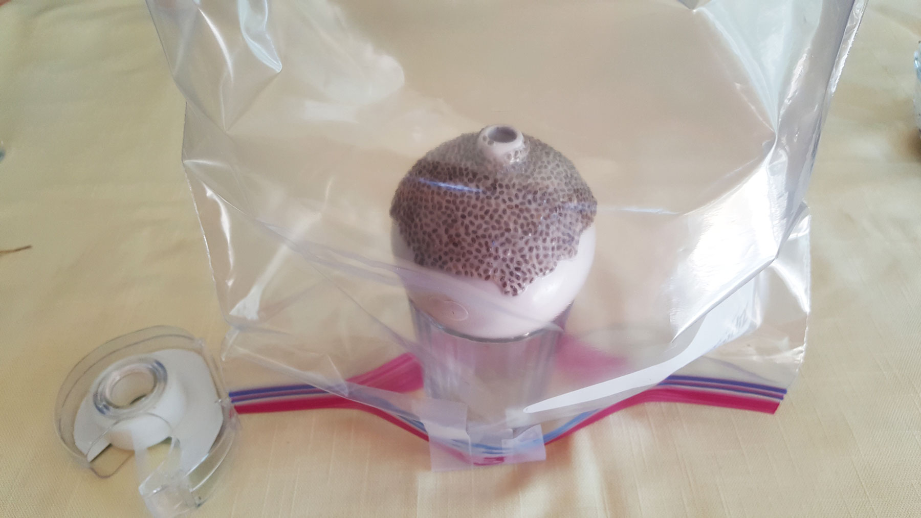 Step 5 is to place a plastic baggie around the Chia Pet for the first 4 days until the seeds begin to sprout. | OrnamentShop.com