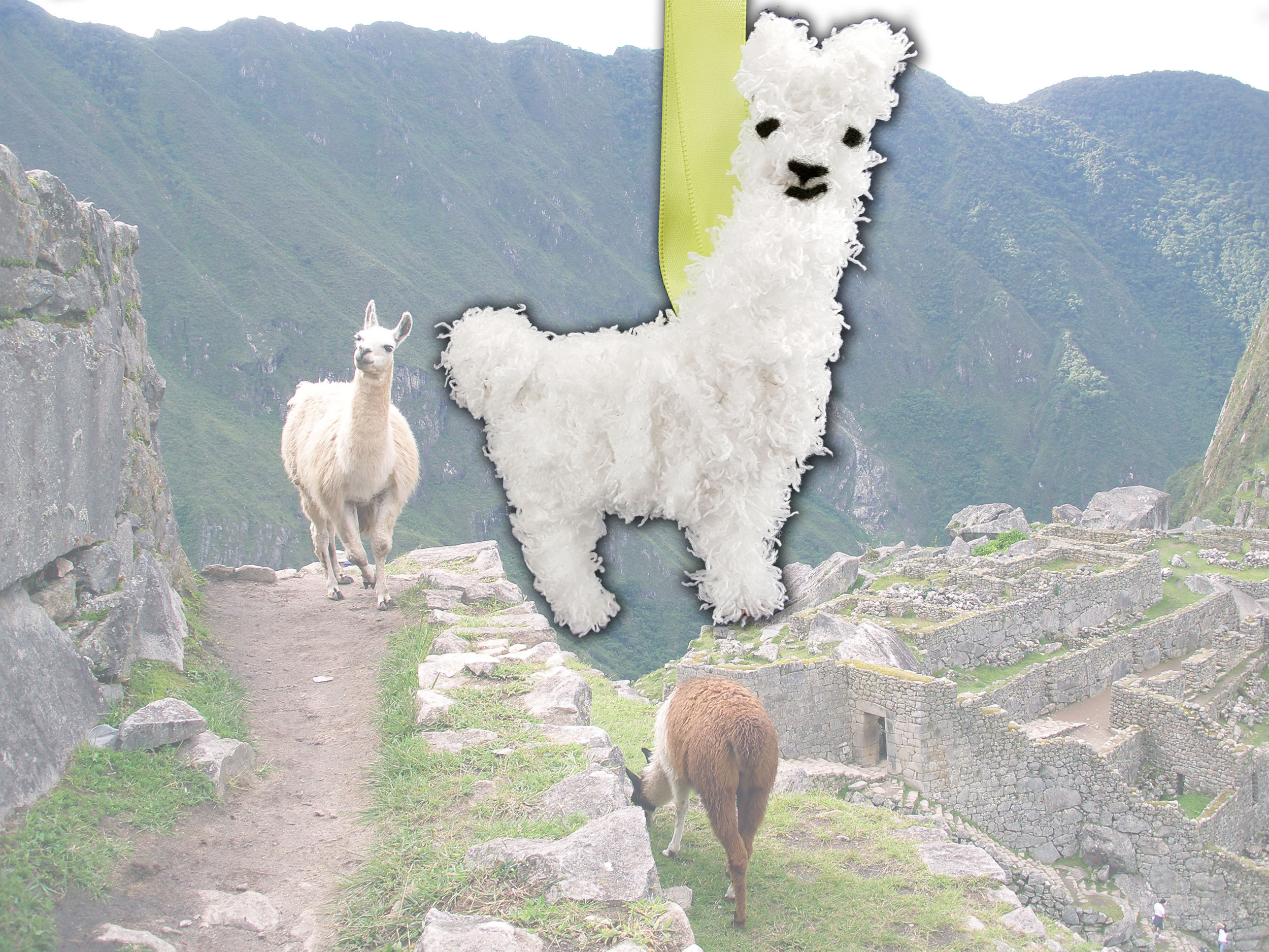 A DIY llama ornament along side a real llama - perfect for fans who love this woolly animal! | OrnamentShop.com