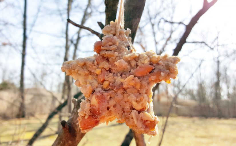 DIY Bird Seed Ornament