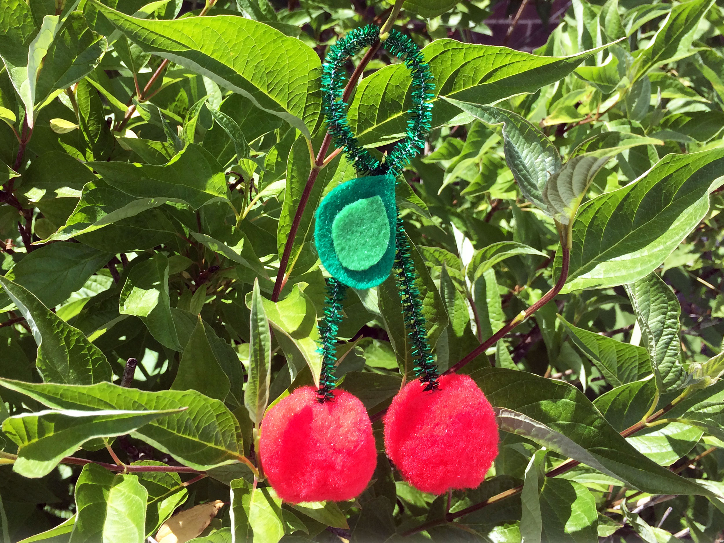 DIY Cherry Ornament - Hanging Outside on Tree | Ornament Shop